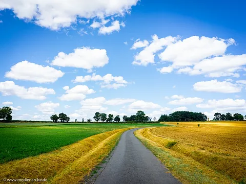 Foto: ein Weg zum Horizont und ein wunderschöner blauer Himmel